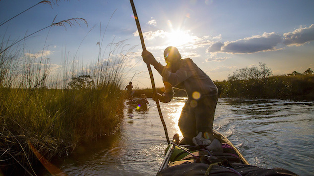 National Geographic's Stunning <i>Into the Okavango</i> Shows It's Not Too Late to Save the Planet