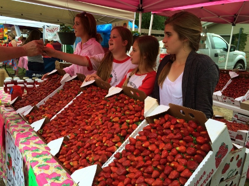 The Pride of Ponchatoula: Louisiana’s Strawberry Heritage - Paste Magazine