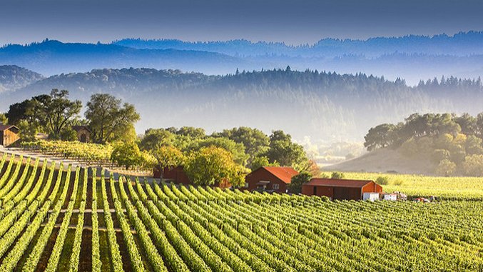 The Bucket List: A Guide to the World's Major Wine Regions