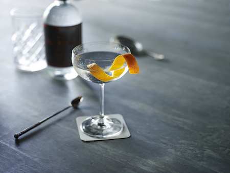 Martini gin.jpg