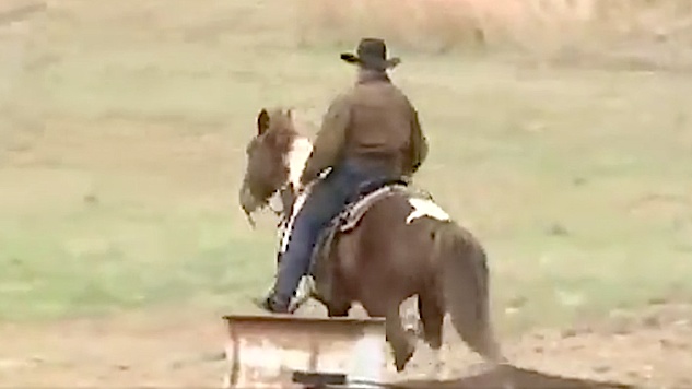 Even If Nothing Else Works, This Horse Video Should Cost Roy Moore the Election