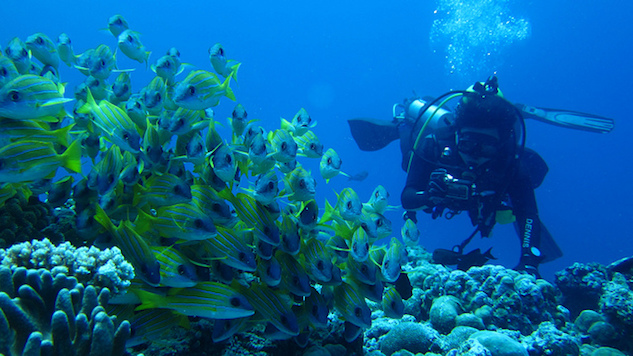 Palau Breakout Diving.jpg