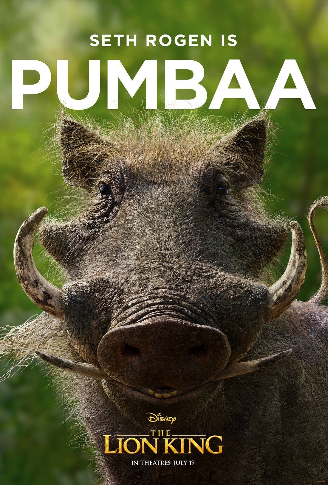 Pumbaa Poster.jpeg