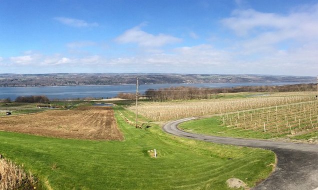 Vineyards to Visit on the Finger Lakes&#8217; Seneca Lake Wine Trail
