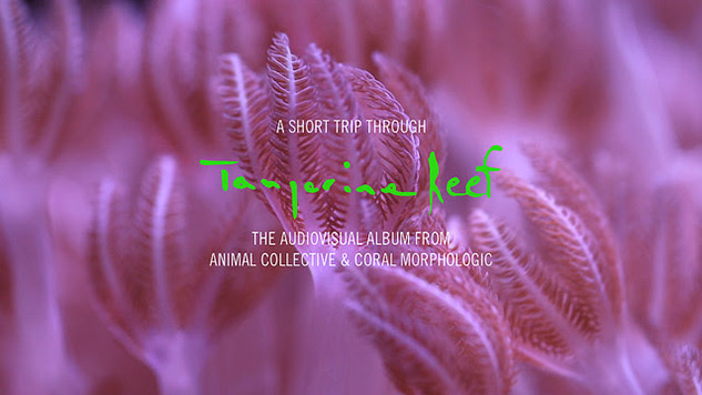Take "A Short Trip Through <i>Tangerine Reef</i>" with Animal Collective's New Extended Trailer