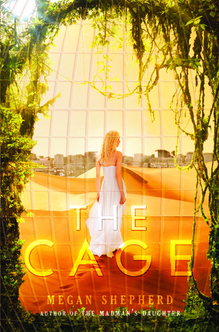 The Cage.jpg