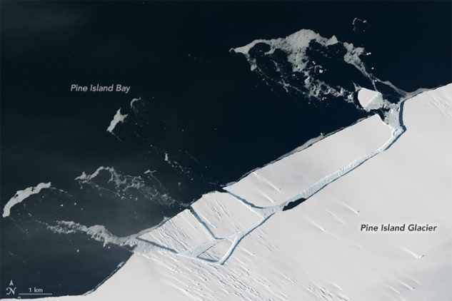 WS Antarctica 1_633.jpg