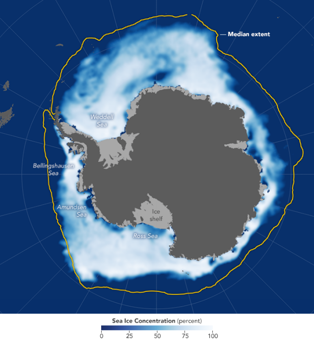 WS Antarctica 3_633.png