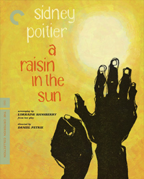 a-raisin-in-sun-criterion.jpg