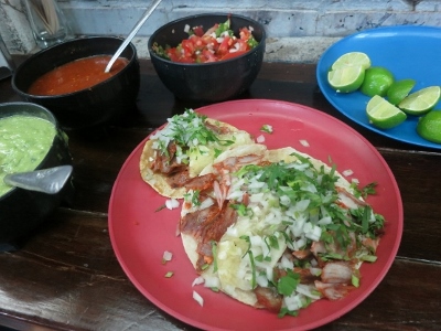 al pastor at el vilsito (556x417) (400x300).jpg