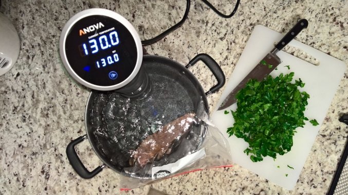 Anova WiFi Precision Cooker Review: Cook Like a Chef