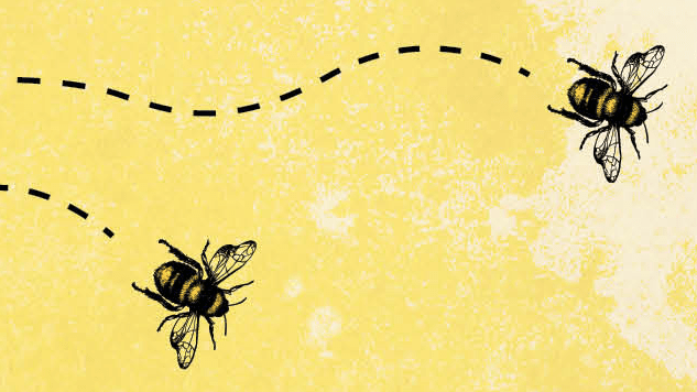Exclusive Cover Reveal + Excerpt: Candice Montgomery Tackles Gentrification and Beekeeping in <i>By Any Means Necessary</i>