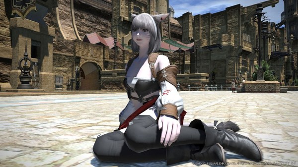 ff xiv a realm reborn cat woman.jpg