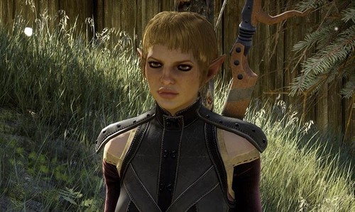 dragon age elves.jpg