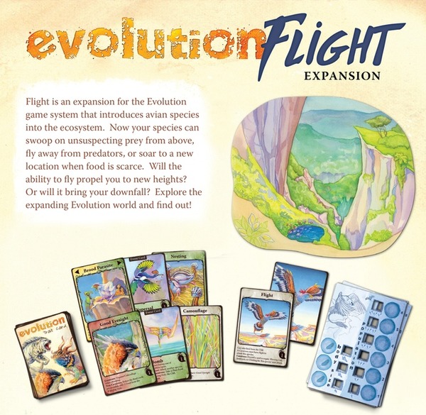 evolution flight image.jpg