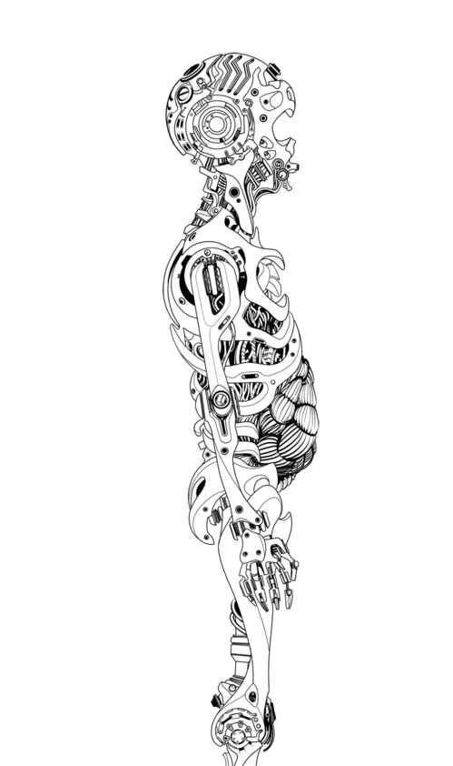 tim21_skeleton_final.jpg