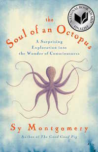 TheSoulOfAnOctopus.jpg