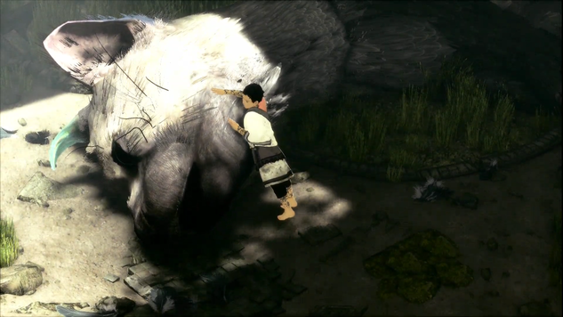 last guardian pic 1.png