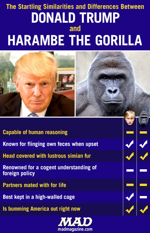 MAD-Magazine-Trump-Harambe-Gorilla_578e557f78d217.29651740.jpg