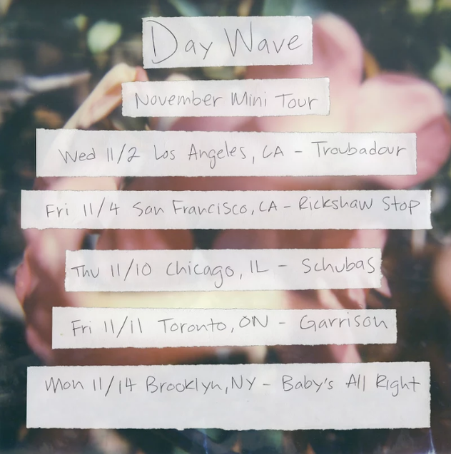 Day Wave Mini Tour.png