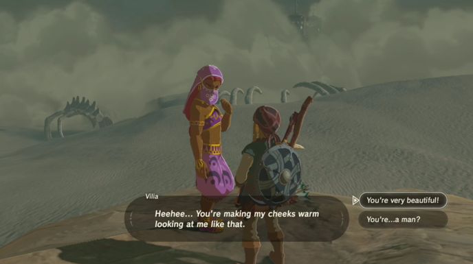 Breath Of The Wild Transphobia Vilia Gerudo.png