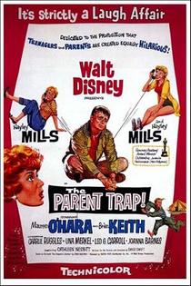 the parent trap movie poster.jpg