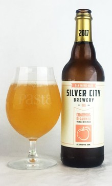 silver city charming disarmer (Custom).JPG