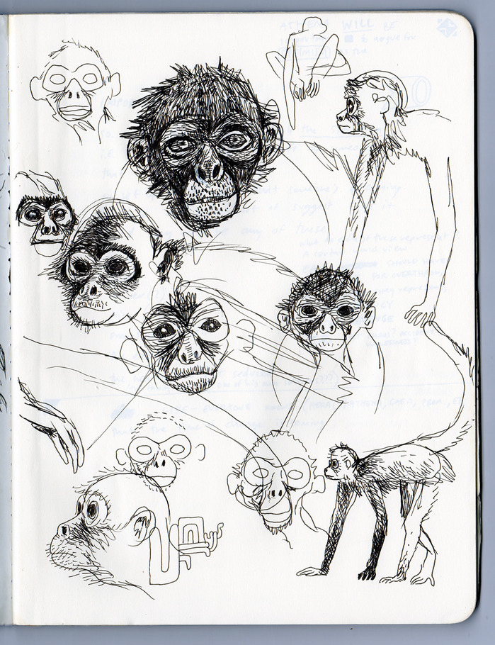 sketch01Monkey.jpg