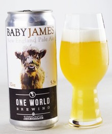 one world baby james (Custom).jpg