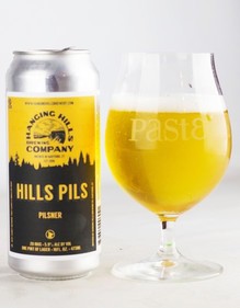 hanging hills hills pils (2) (Custom).jpg