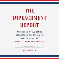the impeachment report.jpg