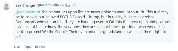 qanon-overconfident-impeachment-grandstanding.JPG