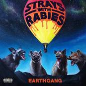 earthgang rsd.jpg