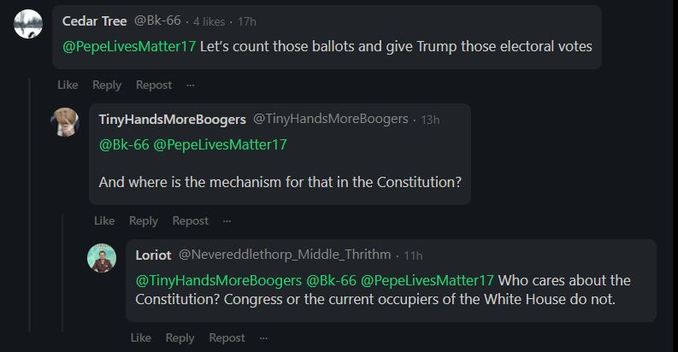 qanon-who-cares-about-constitution.JPG