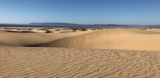 beaches dunes.jpg