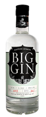big gin.jpg