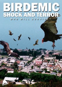 birdemic-shock-and-terror.24938 (Custom).jpg