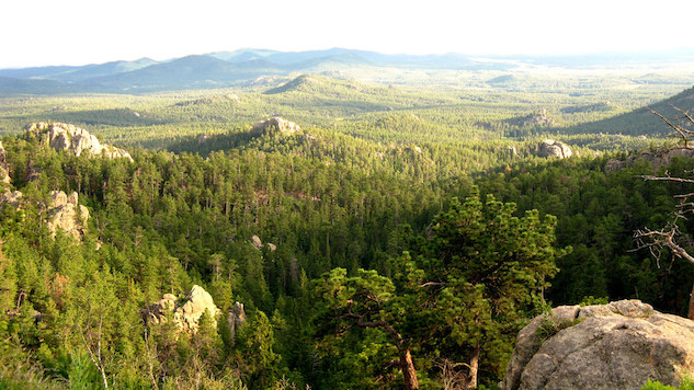 black hills.jpg