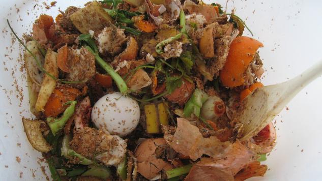 Wild Culture: Fermenting Your Food Waste with Bokashi