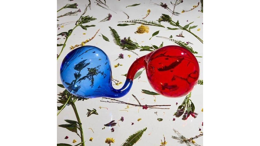 Dirty Projectors: <i>Lamp Lit Prose</i> Review