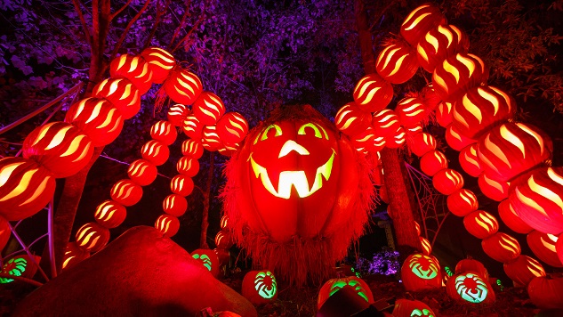Dollywood's Great Pumpkin Luminights Serves Up Folksy Halloween Fun