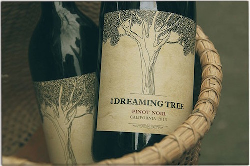 dreaming tree interior.jpg