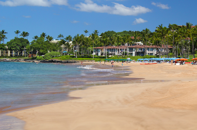 drhawaii_wbv_wailea_beach_4.jpg