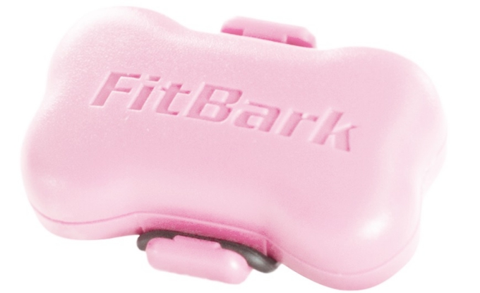 fitbark1.jpg