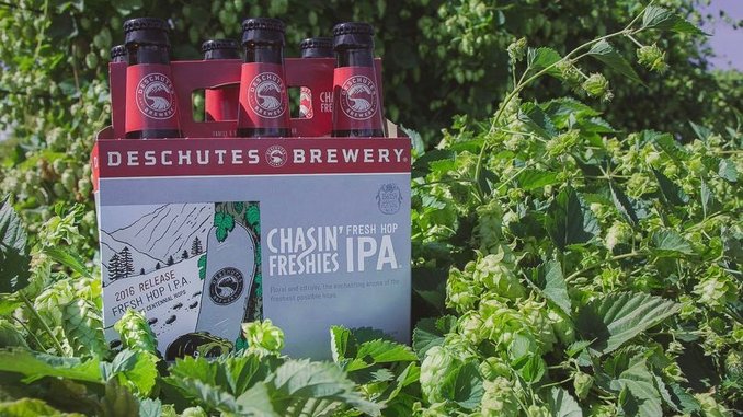 7 Fresh Hop Ales You Should Be Excited About