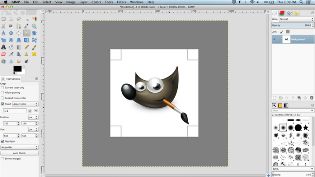 alternatives to adobe illustrator and photoshop