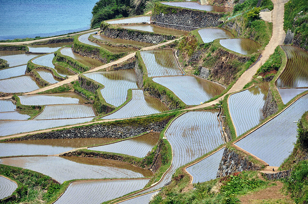 hamanoura terraces japan.jpg
