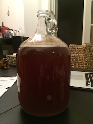 homebrew jug.JPG