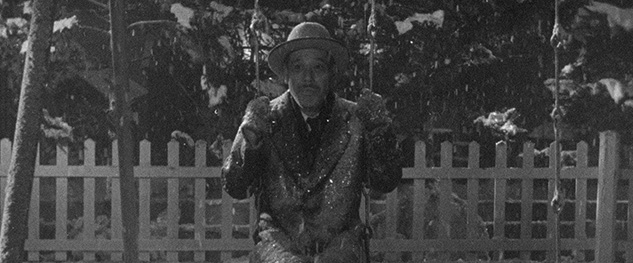 ikiru-hashimoto.jpg