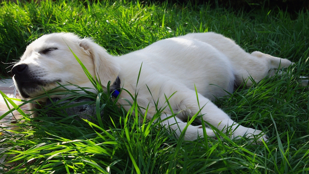 5 Ways to Combat Fatigue